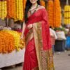 Premium Pochampalli Silk Saree with Traditional Weaving & Contrast Border | Raal Silk